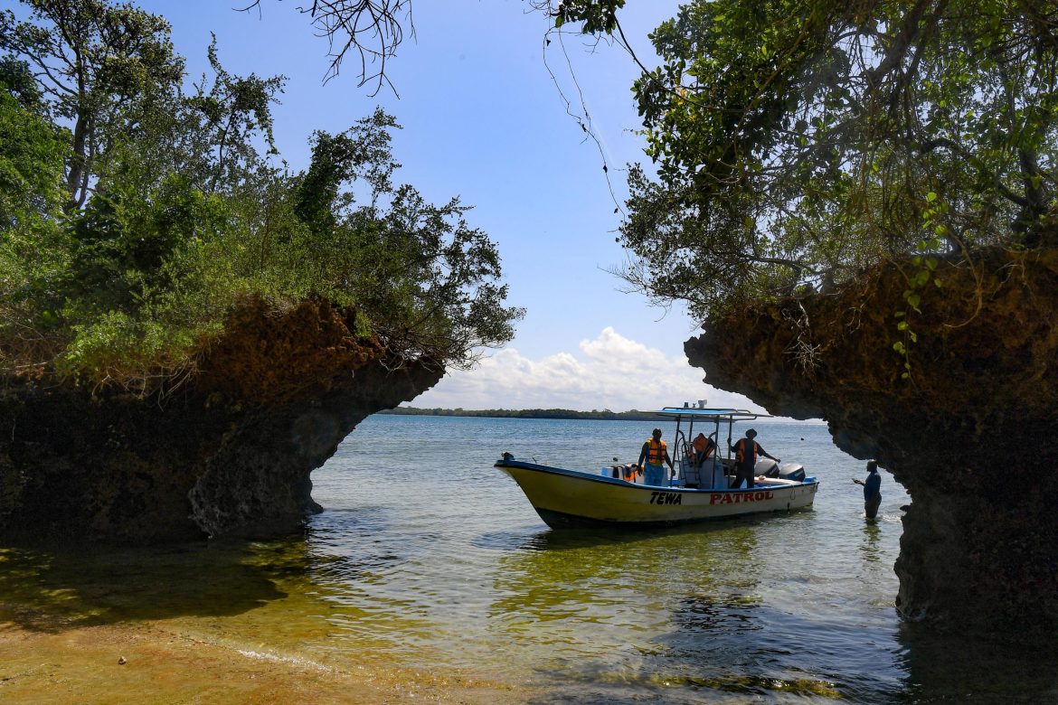 Tech Innovations Bolster Marine Conservation Efforts in Kenya